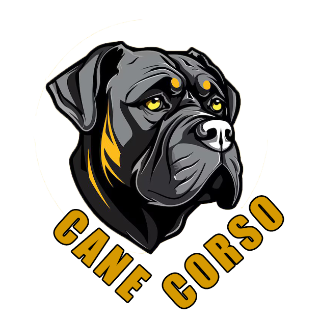 Cane Corso Puppies For Rehoming